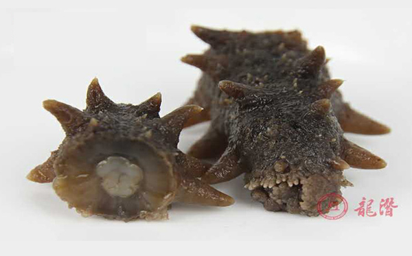 長島海參的食用方法